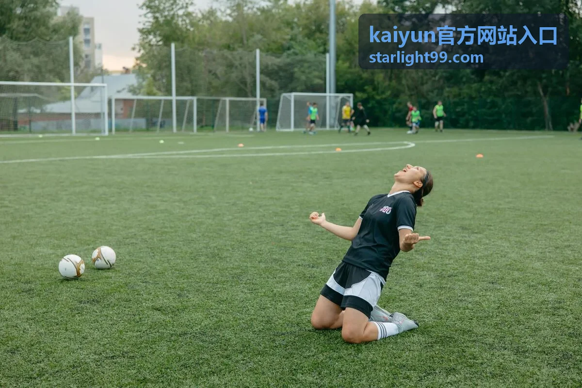 kaiyun官方网站入口顶部导航栏目示意图